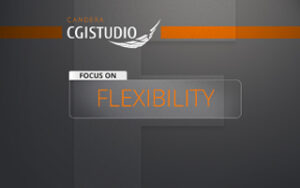 FLEXIBILITY